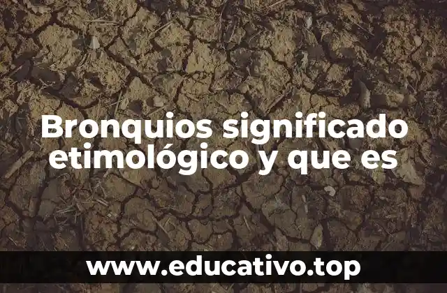 Bronquios significado etimológico y que es