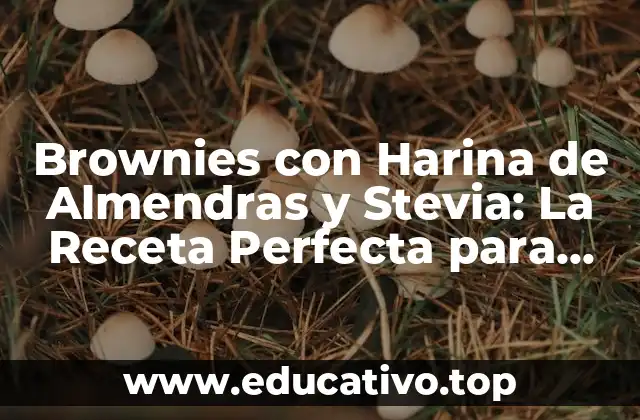 Brownies con Harina de Almendras y Stevia: La Receta Perfecta para Diabéticos