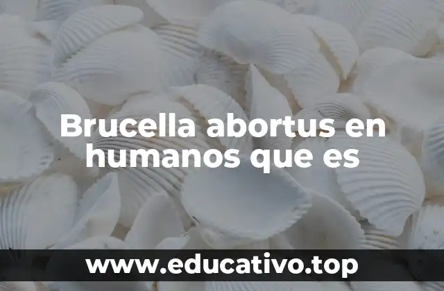Brucella abortus en humanos que es