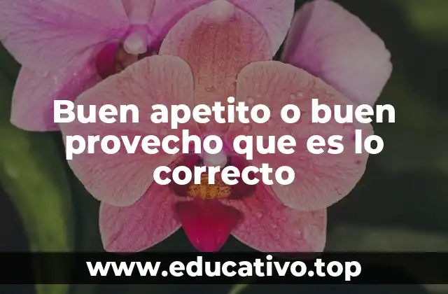Buen apetito o buen provecho que es lo correcto