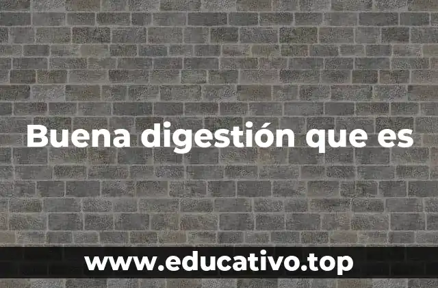 El funcionamiento del sistema digestivo y su relación con una buena digestión