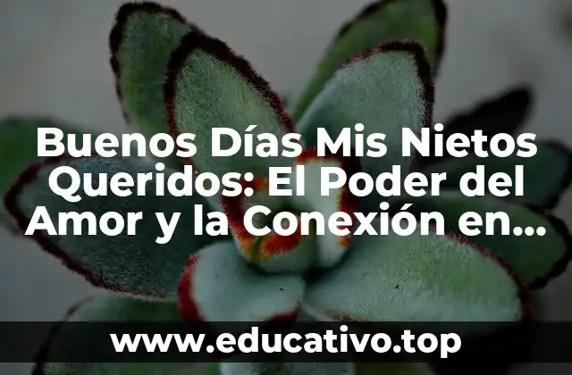 Buenos Días Mis Nietos Queridos: El Poder del Amor y la Conexión en la Familia