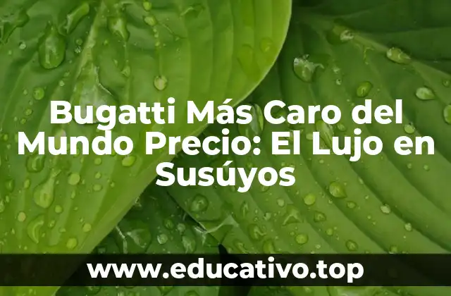 Bugatti Más Caro del Mundo Precio: El Lujo en Susúyos