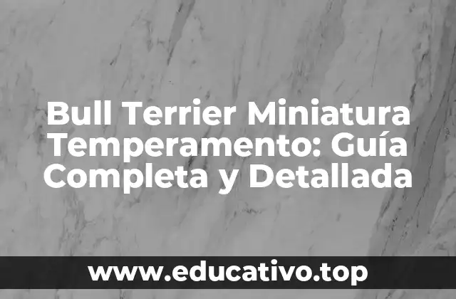 Bull Terrier Miniatura Temperamento: Guía Completa y Detallada