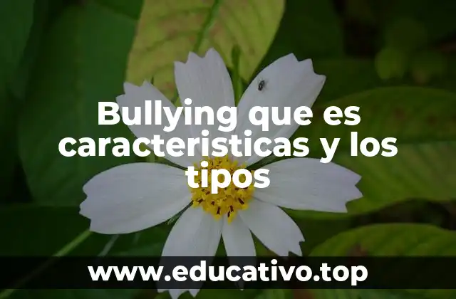 Bullying que es caracteristicas y los tipos