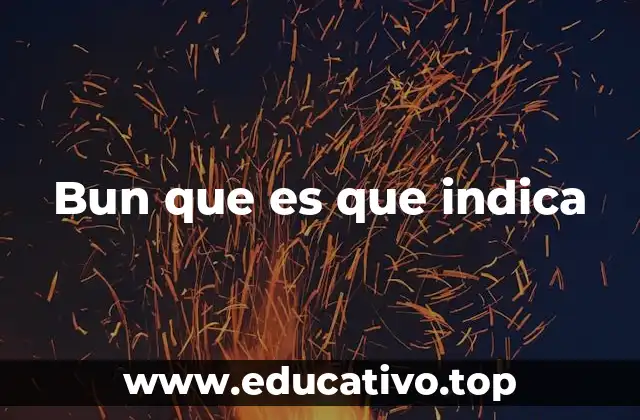 Bun que es que indica