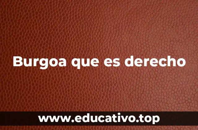 Burgoa que es derecho