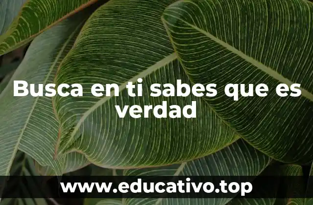 Busca en ti sabes que es verdad