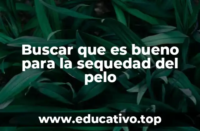 Buscar que es bueno para la sequedad del pelo