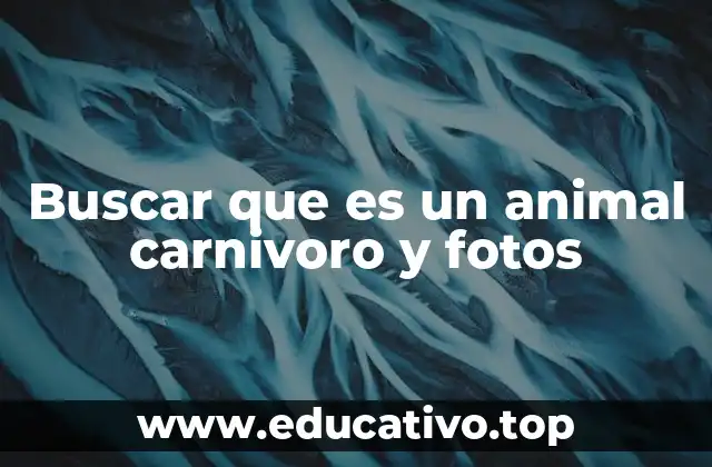 Buscar que es un animal carnivoro y fotos