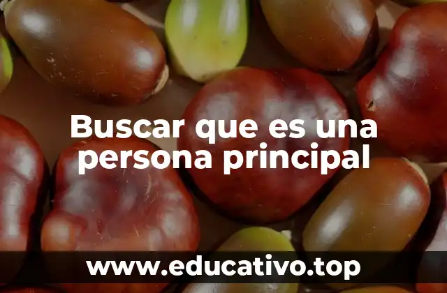 Buscar que es una persona principal