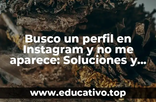 Busco un perfil en Instagram y no me aparece: Soluciones y explicaciones