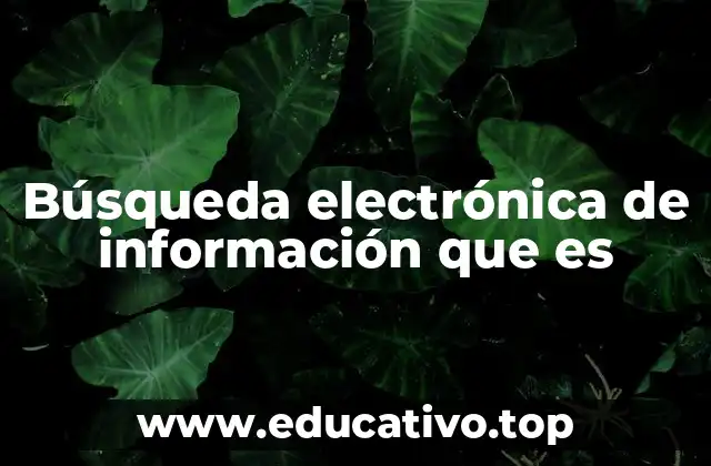 Búsqueda electrónica de información que es
