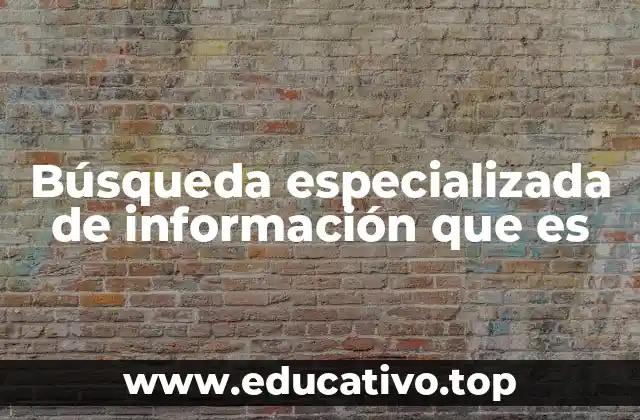 Búsqueda especializada de información que es