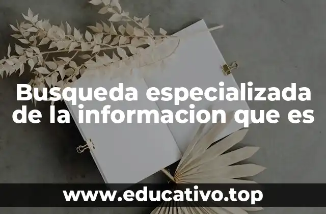 Busqueda especializada de la informacion que es