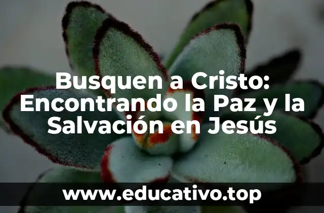Busquen a Cristo: Encontrando la Paz y la Salvación en Jesús