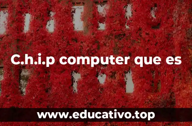 C.h.i.p computer que es