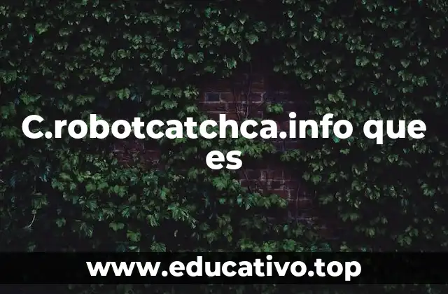 C.robotcatchca.info que es
