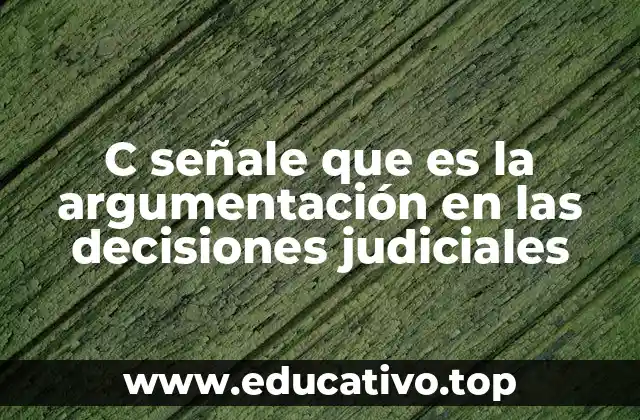 C señale que es la argumentación en las decisiones judiciales
