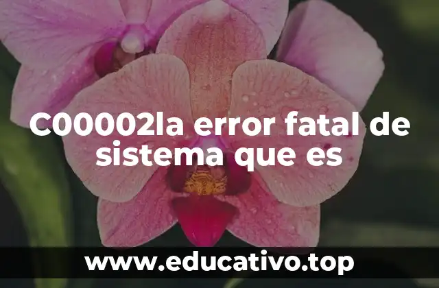 C00002la error fatal de sistema que es