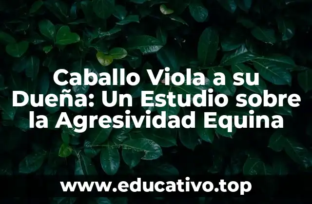 Caballo Viola a su Dueña: Un Estudio sobre la Agresividad Equina