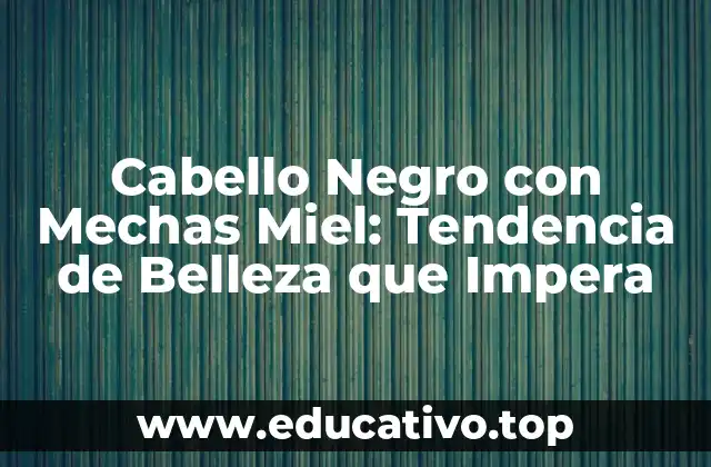 Cabello Negro con Mechas Miel: Tendencia de Belleza que Impera