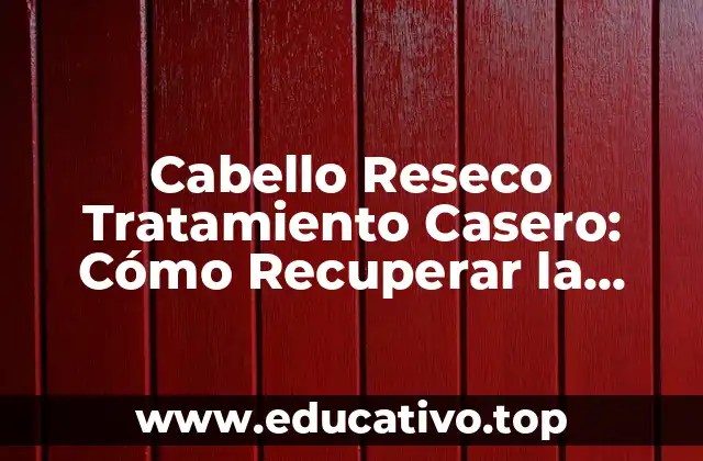 Cabello Reseco Tratamiento Casero: Cómo Recuperar la Salud de tu Cabello