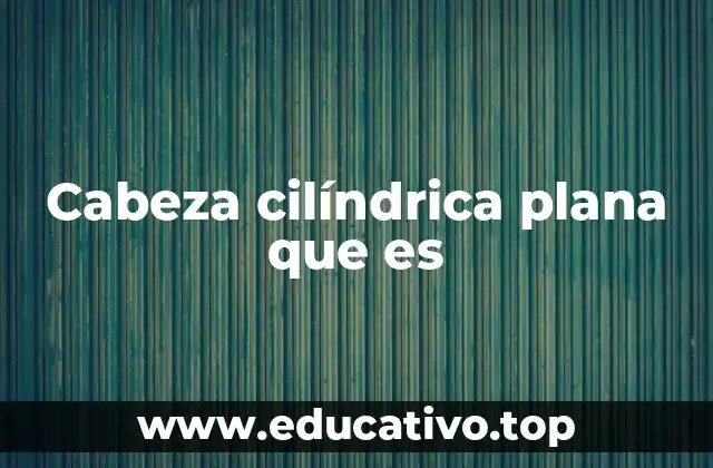 Cabeza cilíndrica plana que es