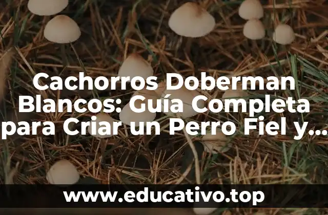 Cachorros Doberman Blancos: Guía Completa para Criar un Perro Fiel y Leal