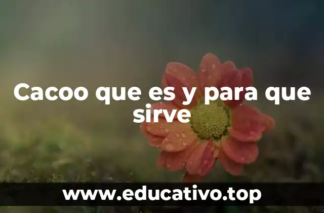 Cacoo que es y para que sirve