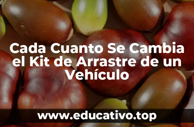 Cada Cuanto Se Cambia el Kit de Arrastre de un Vehículo