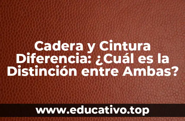 Cadera y Cintura Diferencia: ¿Cuál es la Distinción entre Ambas?