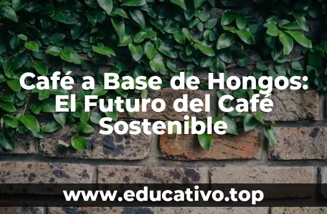Café a Base de Hongos: El Futuro del Café Sostenible