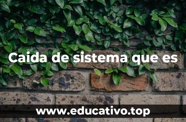 Caida de sistema que es