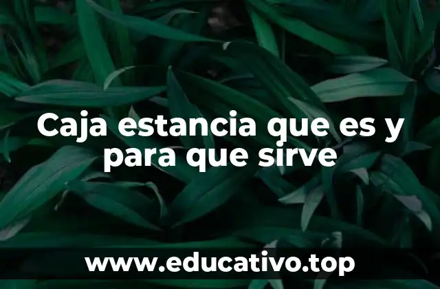 Caja estancia que es y para que sirve