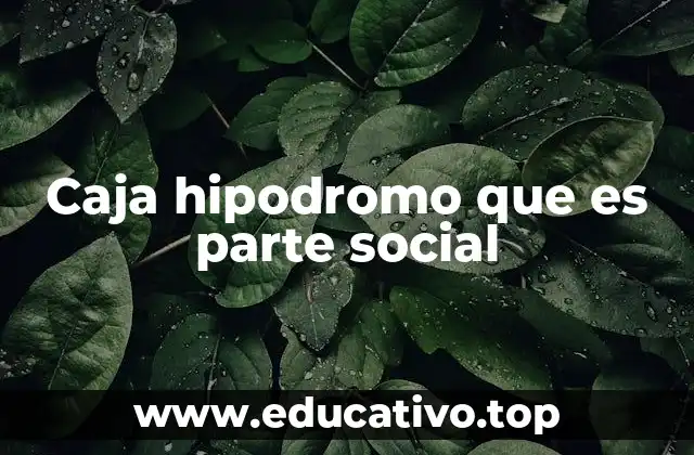 Caja hipodromo que es parte social