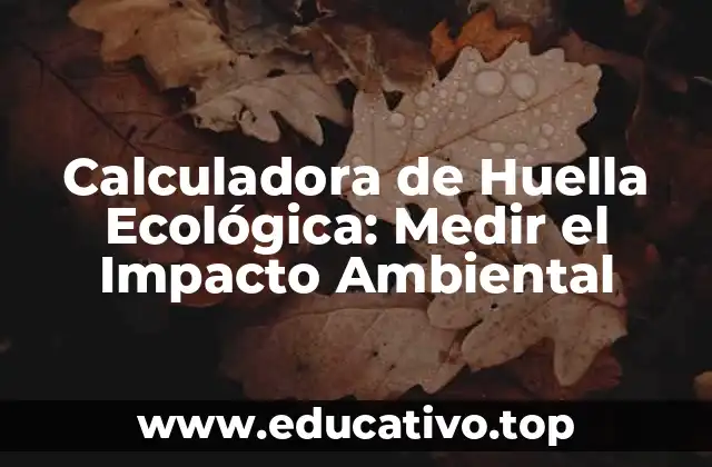 Calculadora de Huella Ecológica: Medir el Impacto Ambiental
