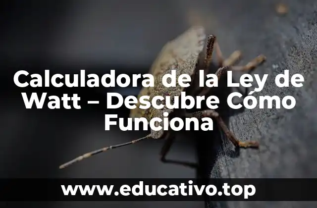 Calculadora de la Ley de Watt – Descubre Cómo Funciona