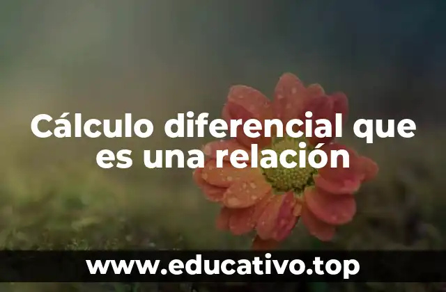 El estudio de las relaciones entre variables a través del cálculo diferencial
