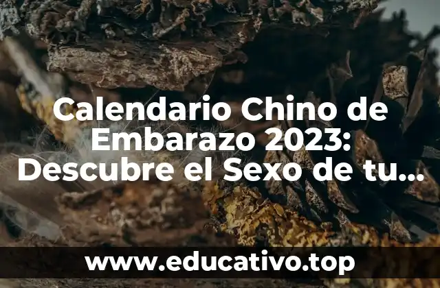 Calendario Chino de Embarazo 2023: Descubre el Sexo de tu Bebé