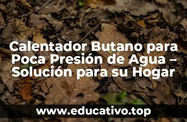 Calentador Butano para Poca Presión de Agua – Solución para su Hogar
