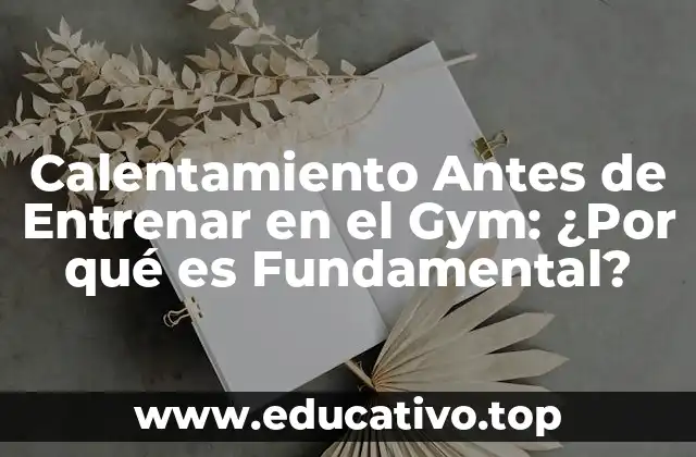 Calentamiento Antes de Entrenar en el Gym: ¿Por qué es Fundamental?