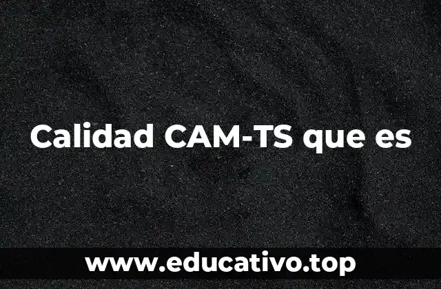 Calidad CAM-TS que es