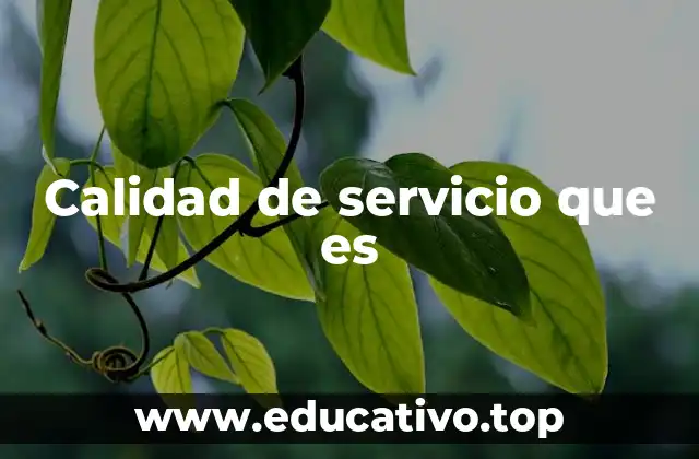 Calidad de servicio que es