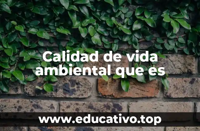Calidad de vida ambiental que es