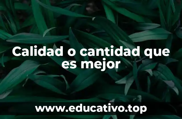 Calidad o cantidad que es mejor