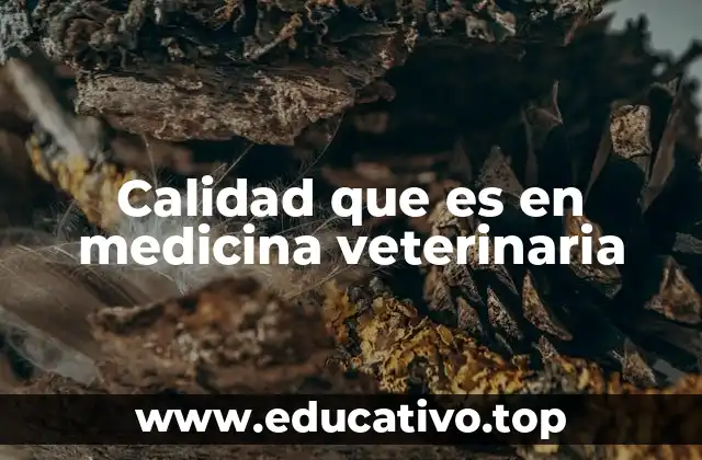 Calidad que es en medicina veterinaria