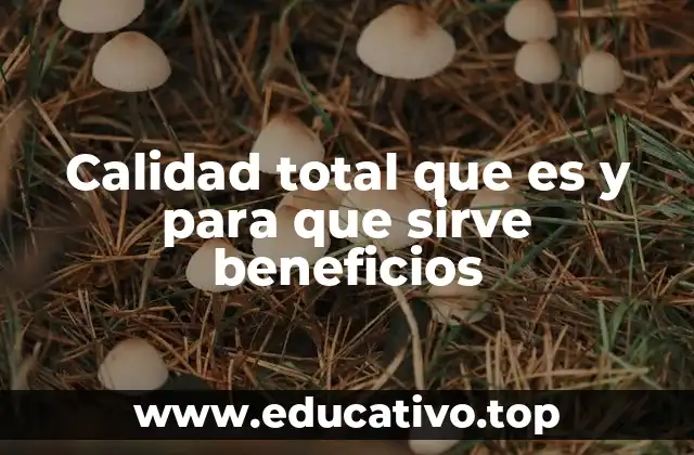 Calidad total que es y para que sirve beneficios