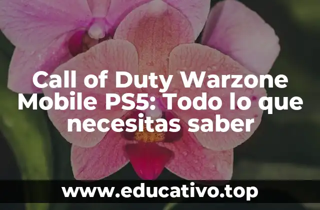 Call of Duty Warzone Mobile PS5: Todo lo que necesitas saber