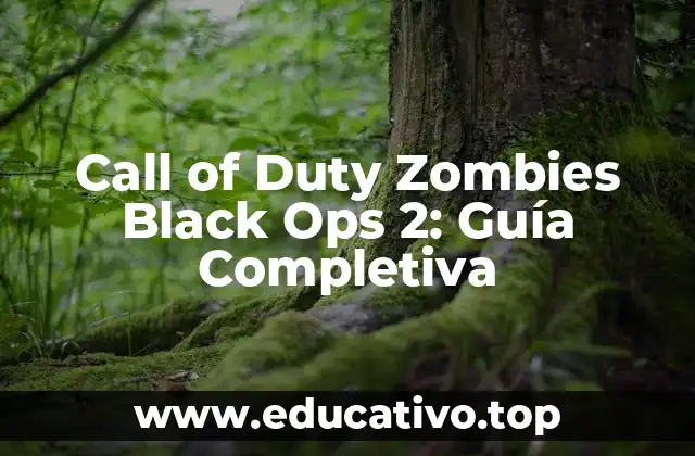Call of Duty Zombies Black Ops 2: Guía Completiva